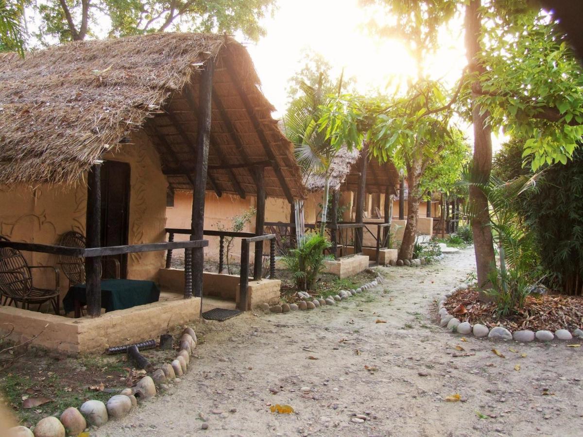 Mango Tree Lodge Bardiya Экстерьер фото